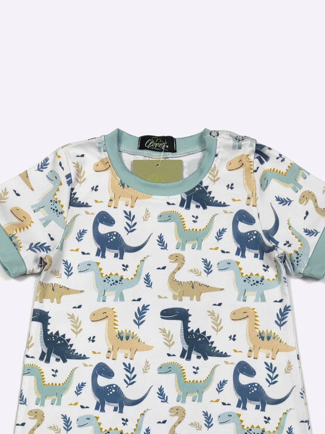 Dino Smiles Boy Romper