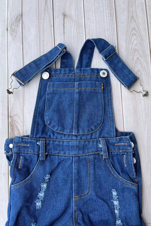 Double Flare Denim Overalls