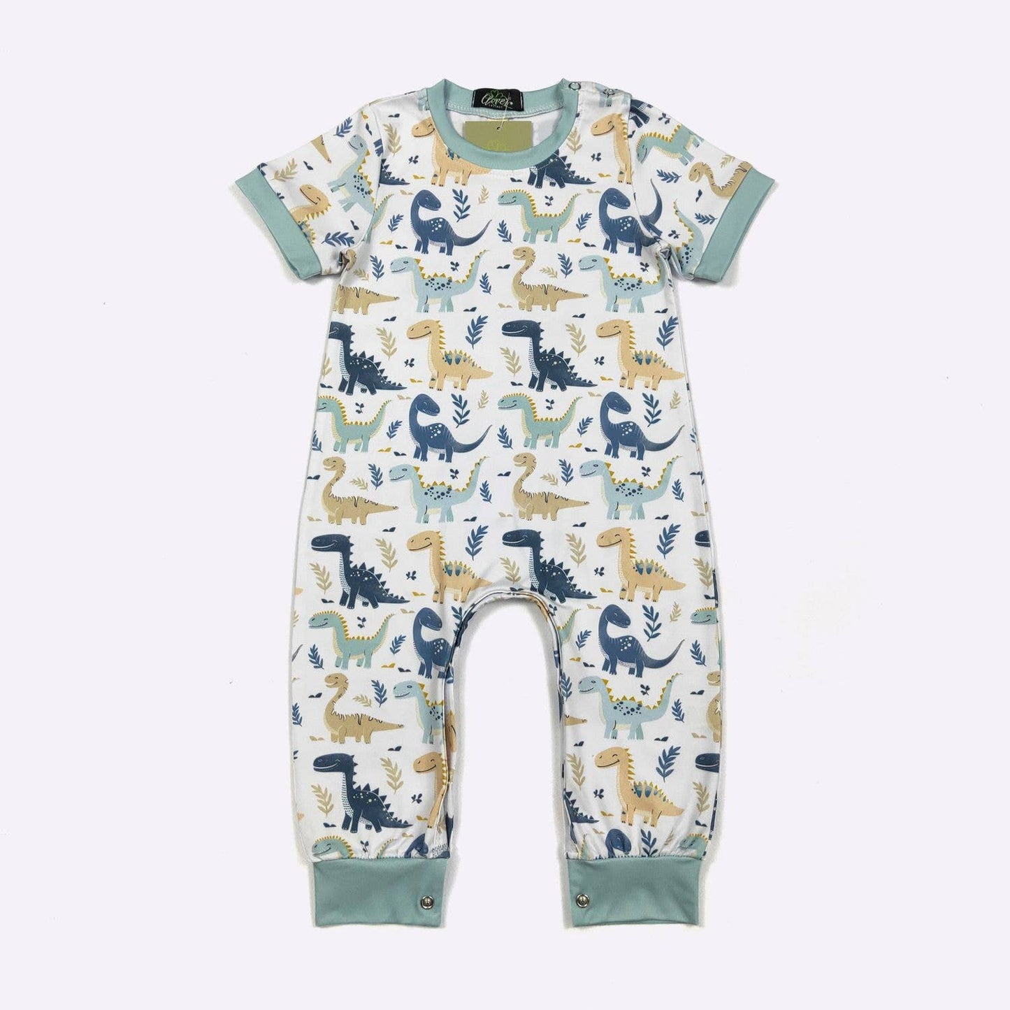 Dino Smiles Boy Romper